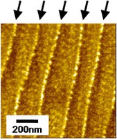 nanorods