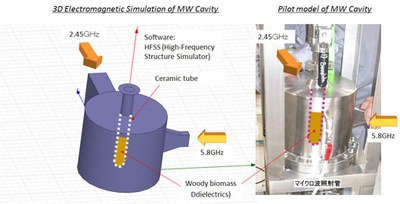 MW Irradiation System for Woody Biomass