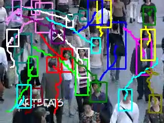 Tracking People in Crowds